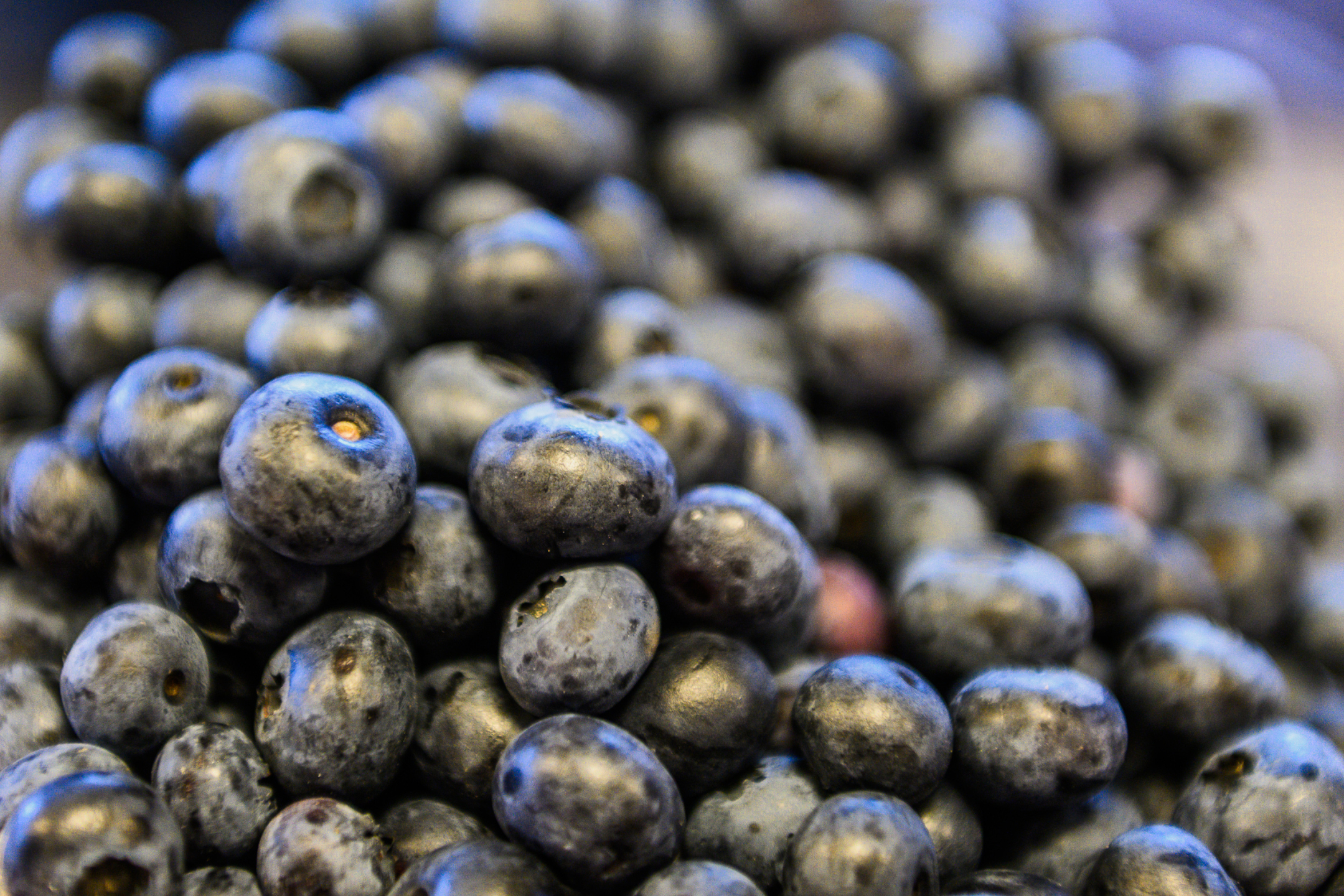 pre-de-pascal-food-ph-giacomo-buzio-19-web.jpg